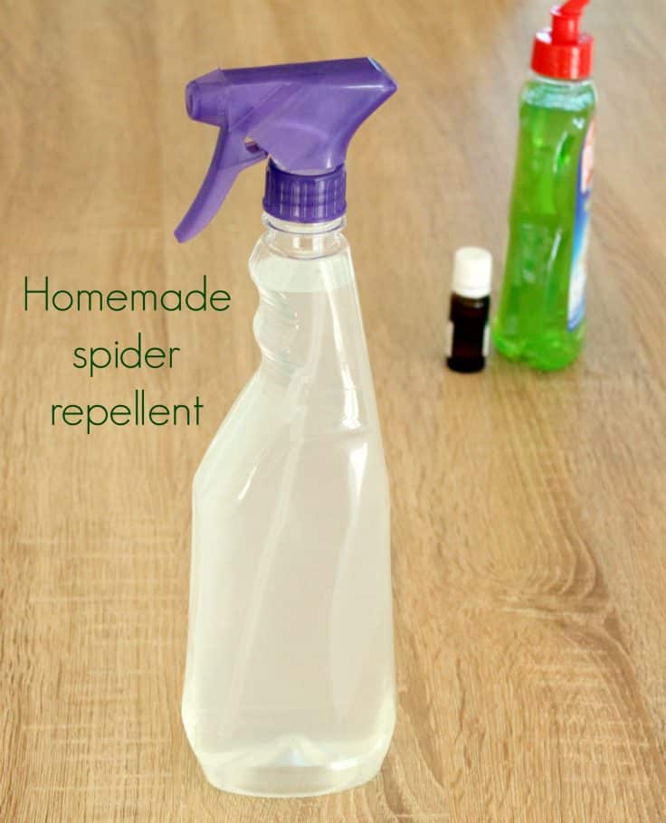 Homemade flea repellent for your home