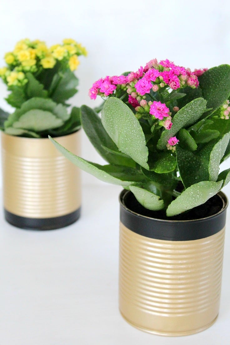 Diy plant pots from recycled materials Idea