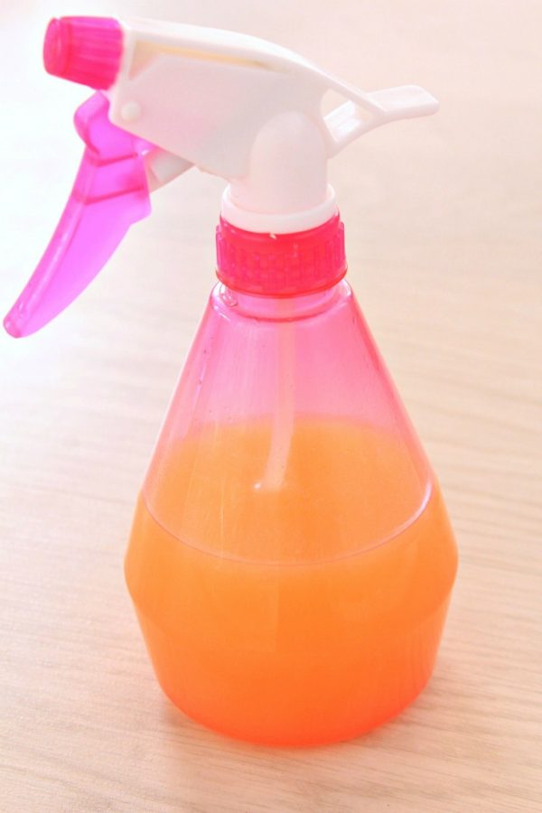 DIY Cat Repellent