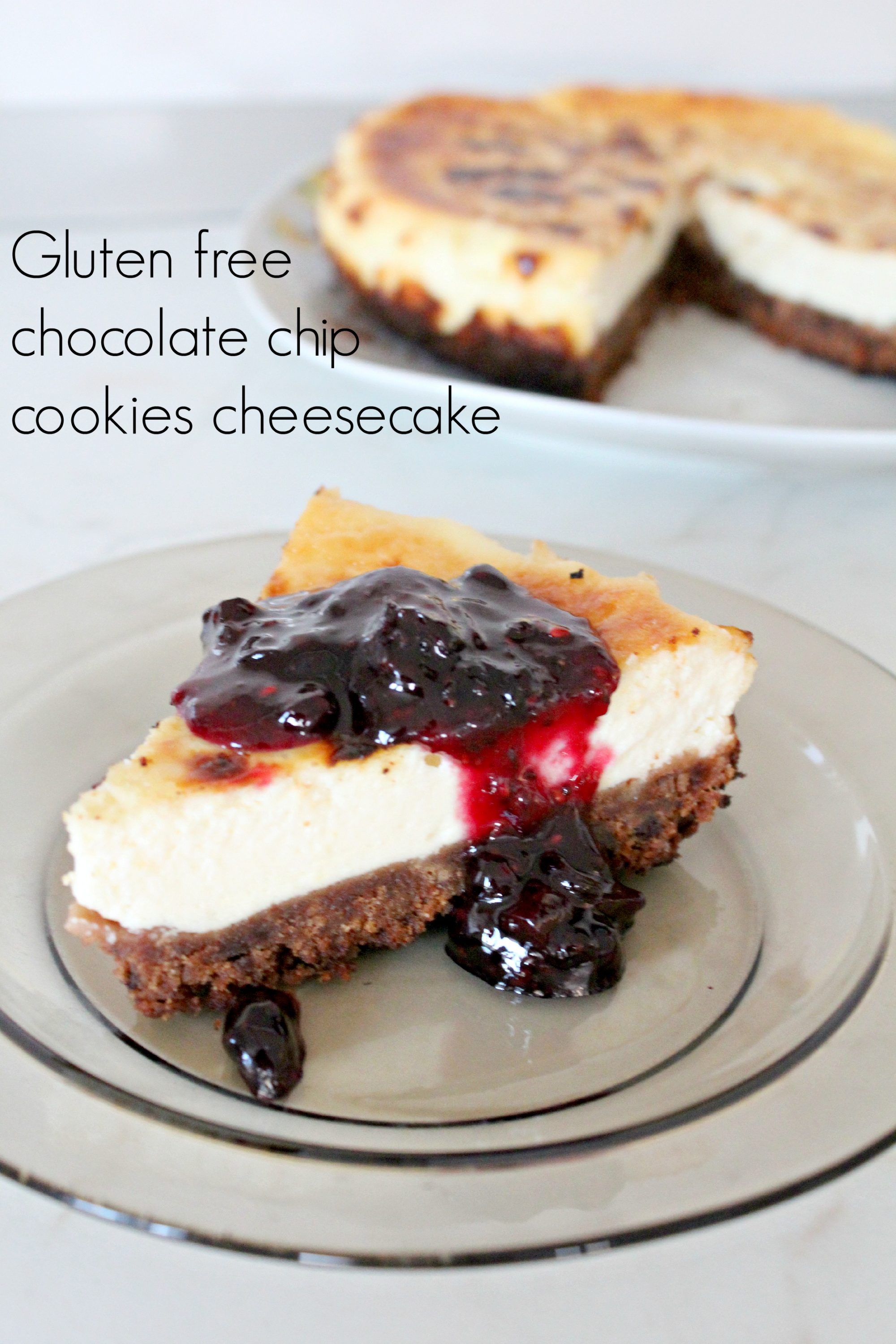 https://theseamanmom.com/wp-content/uploads/2015/02/Gluten-free-chocolate-chip-cookies-cheesecake-.jpg