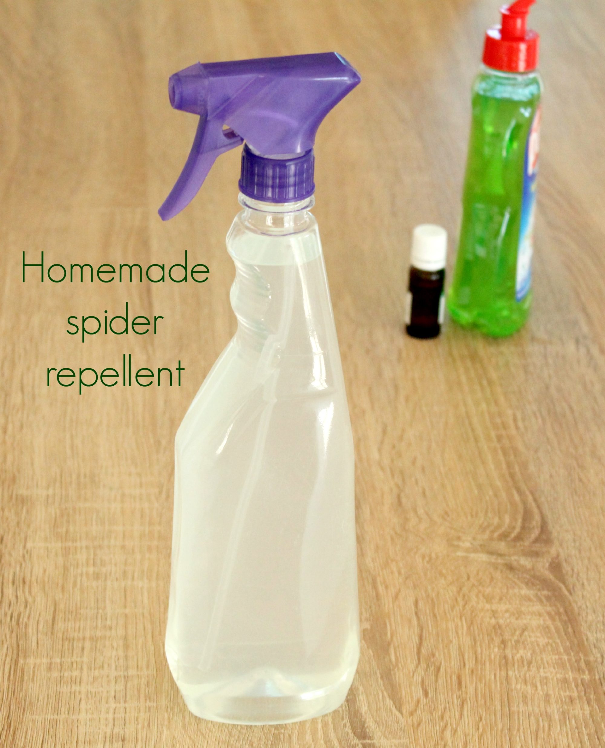 Homemade spider repellent