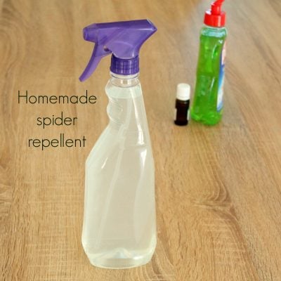 Spider repellent DIY For Home & Garden