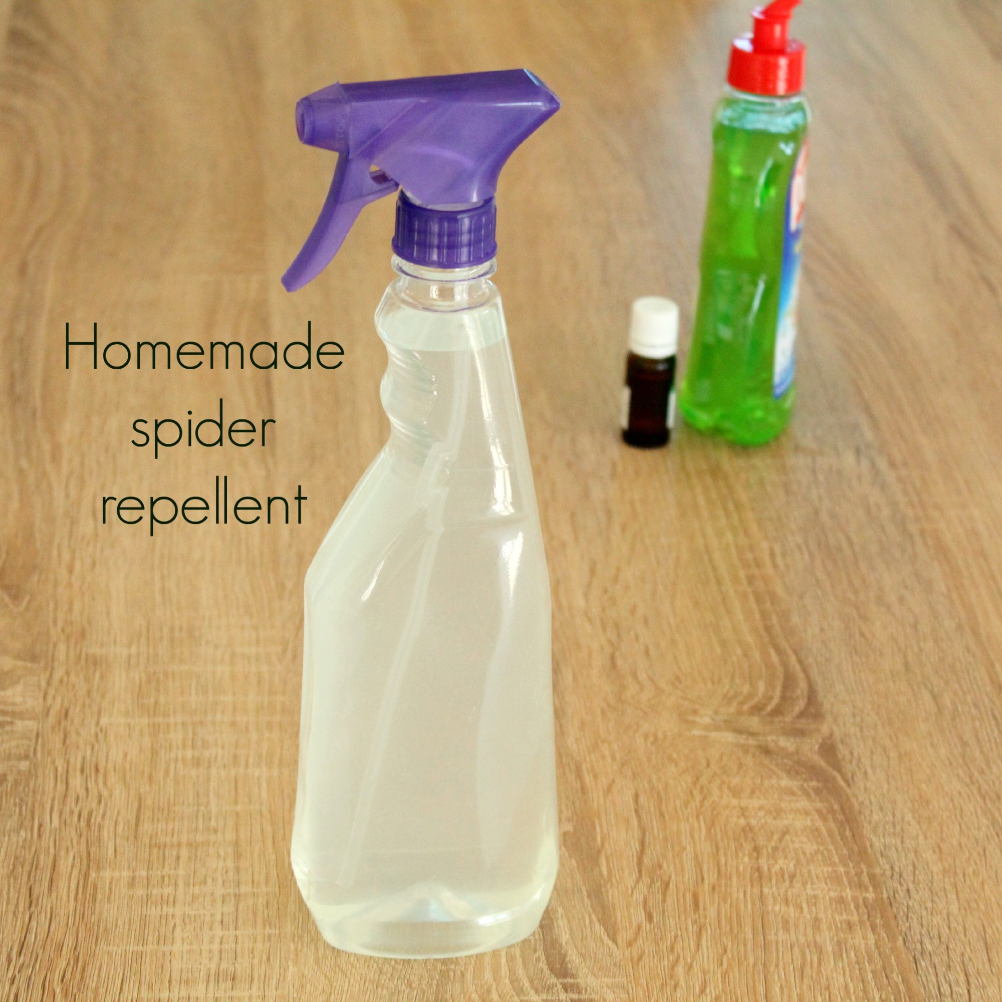Homemade spider repellent