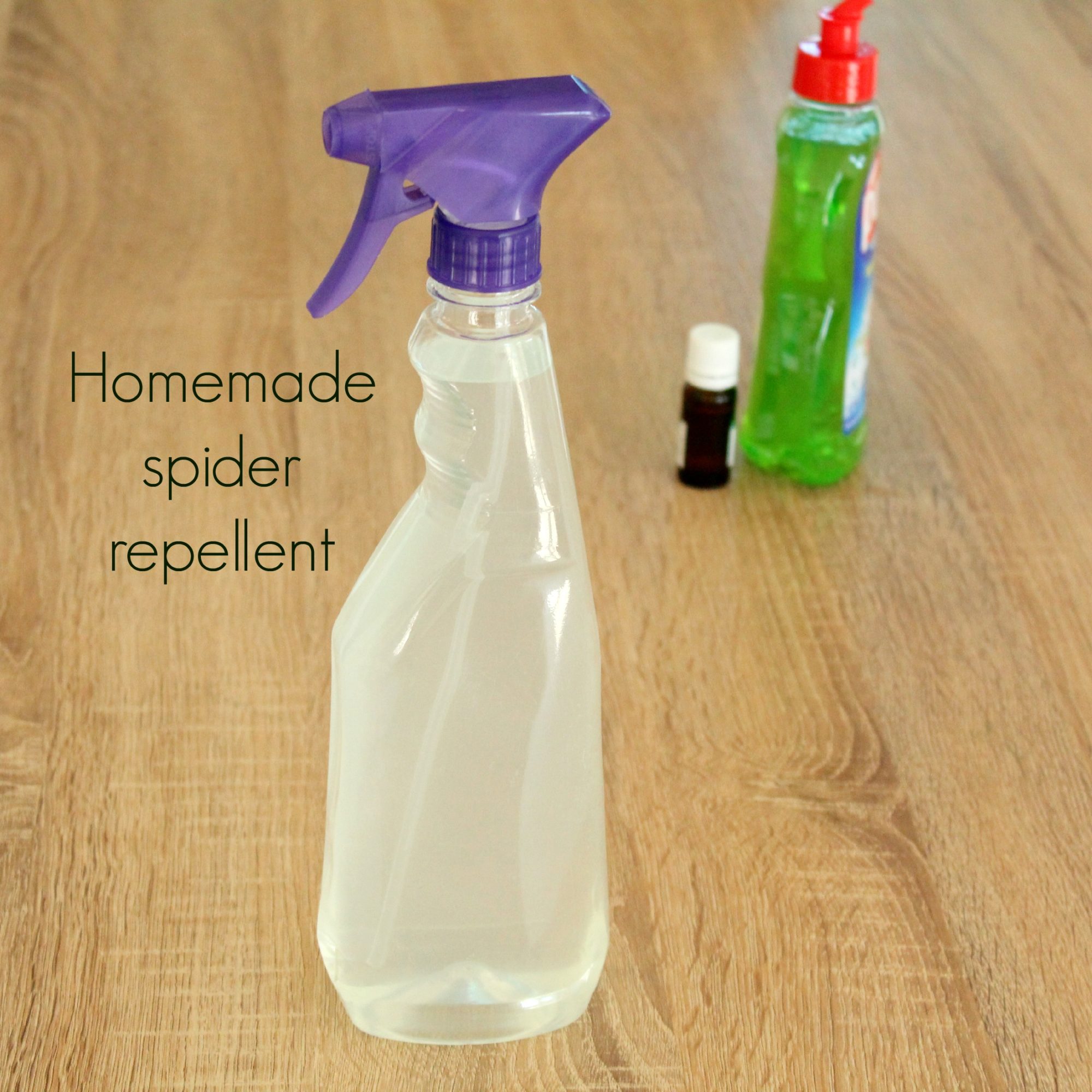 Homemade anti 2024 flea spray