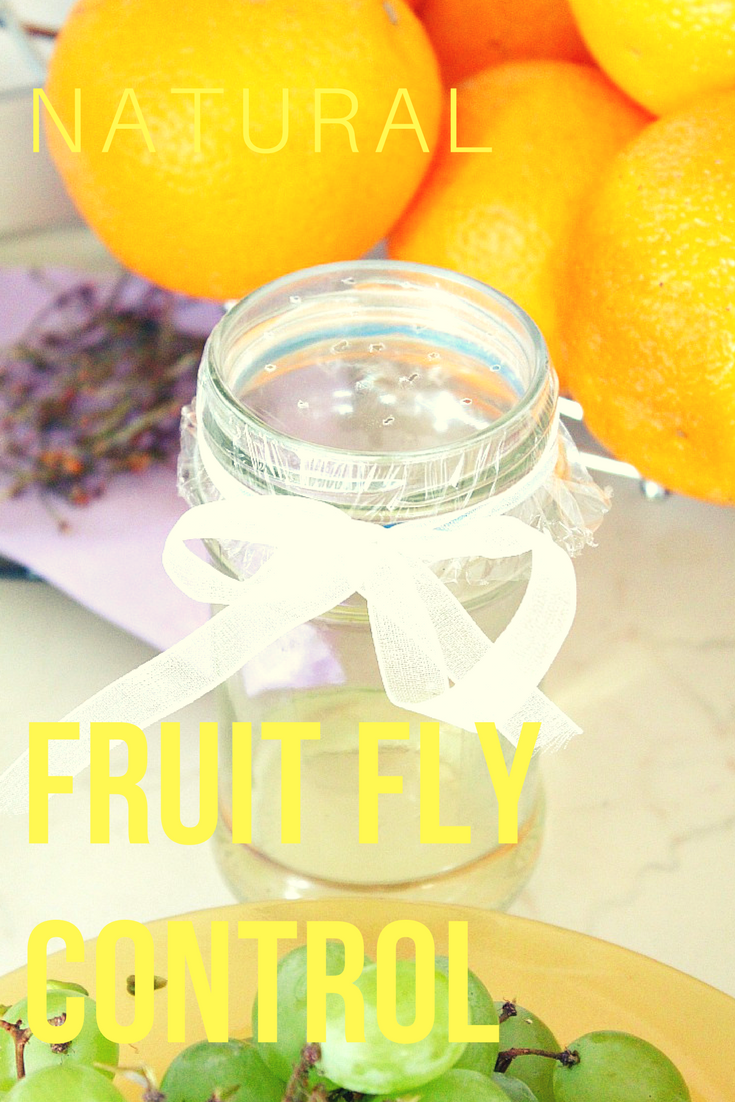 DIY Natural Fruit Fly Trap + Essential Oil Spray - Living Well Mom, Recipe