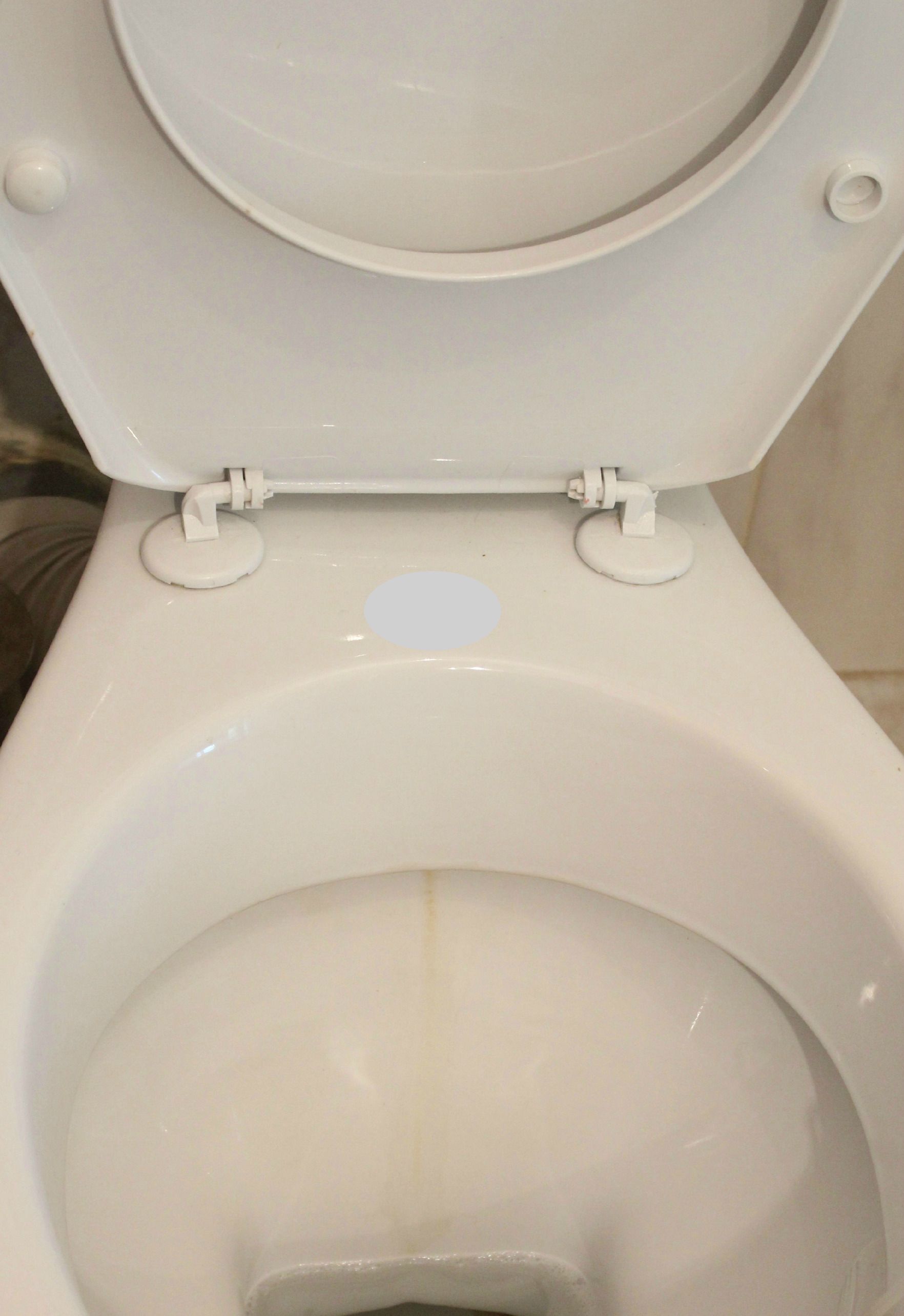 toilet cleaner alternative