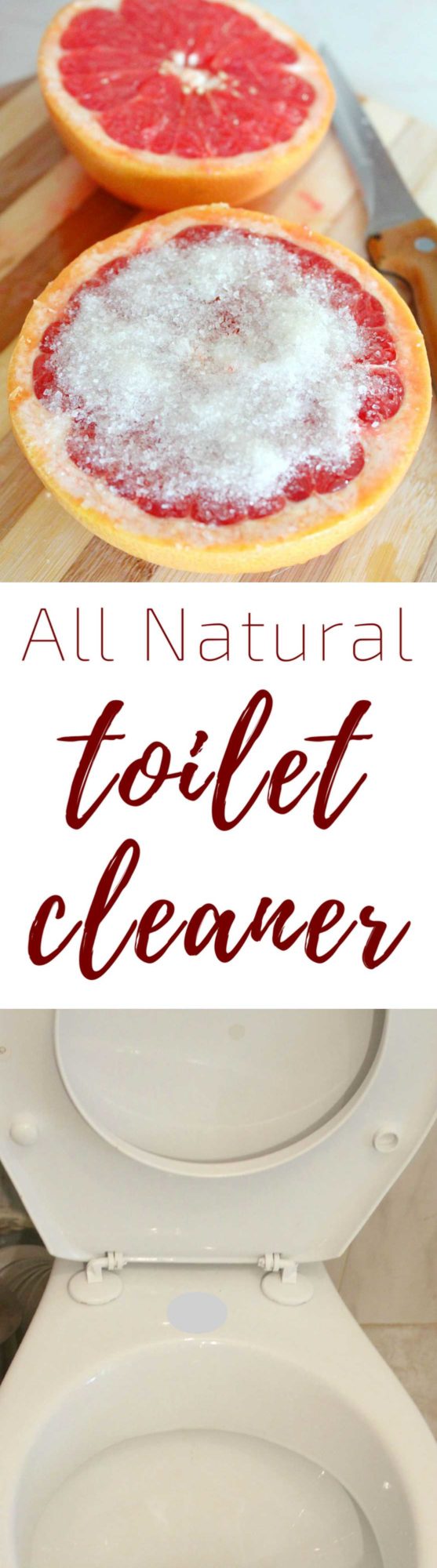 Natural toilet cleaner