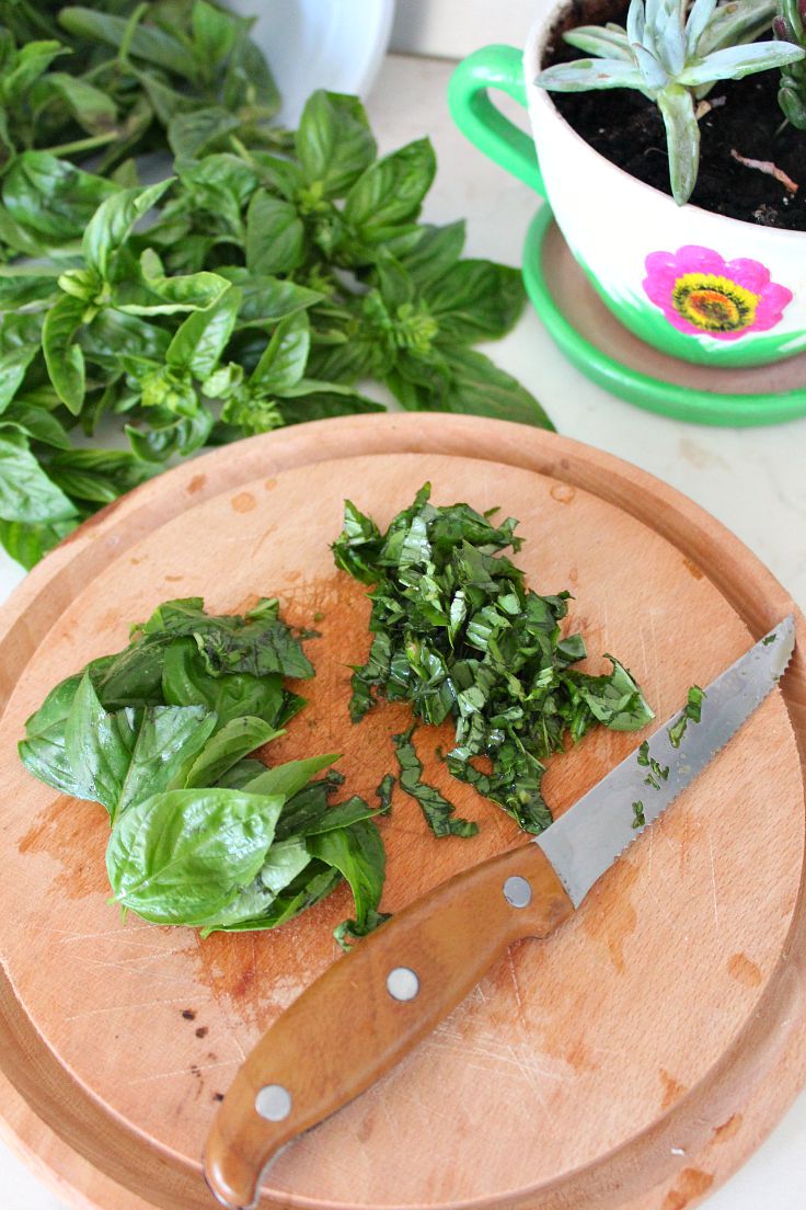 How to preserve basil during winter