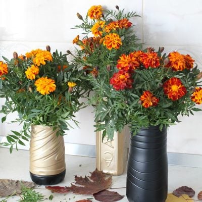 Simple easy plastic bottle flower vase step-by-step tutorial