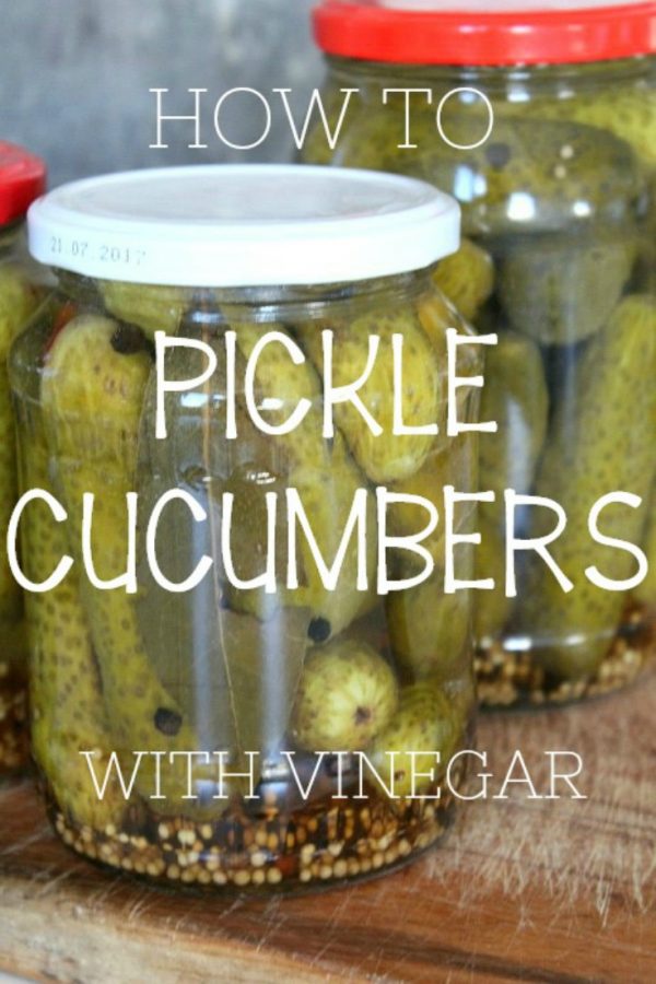How to Pickle Cucumbers with Vinegar and Sugar Easy Peasy Creative Ideas