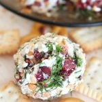 Goat cheese appetizer