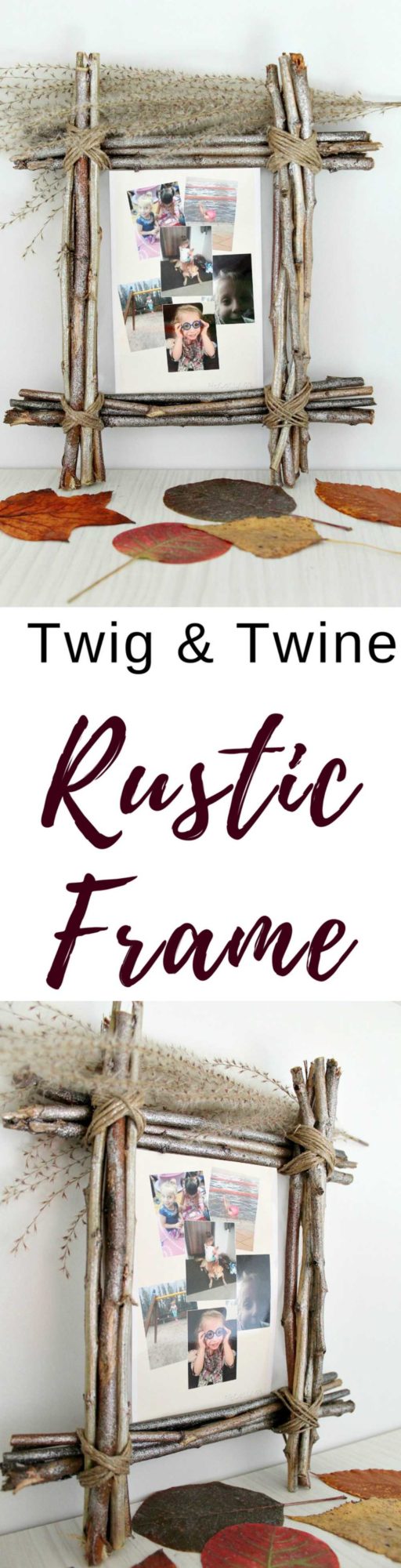 Twig frame