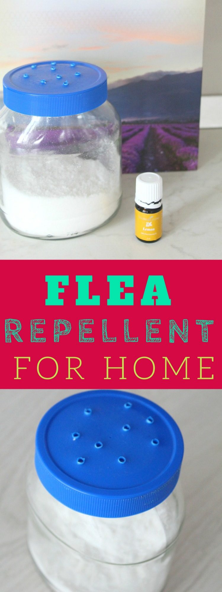 Homemade flea repellent for your home