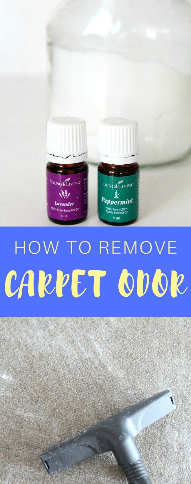 How to remove carpet odor the natural way