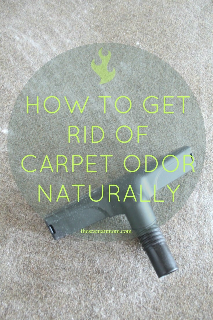 Carpet odor remover