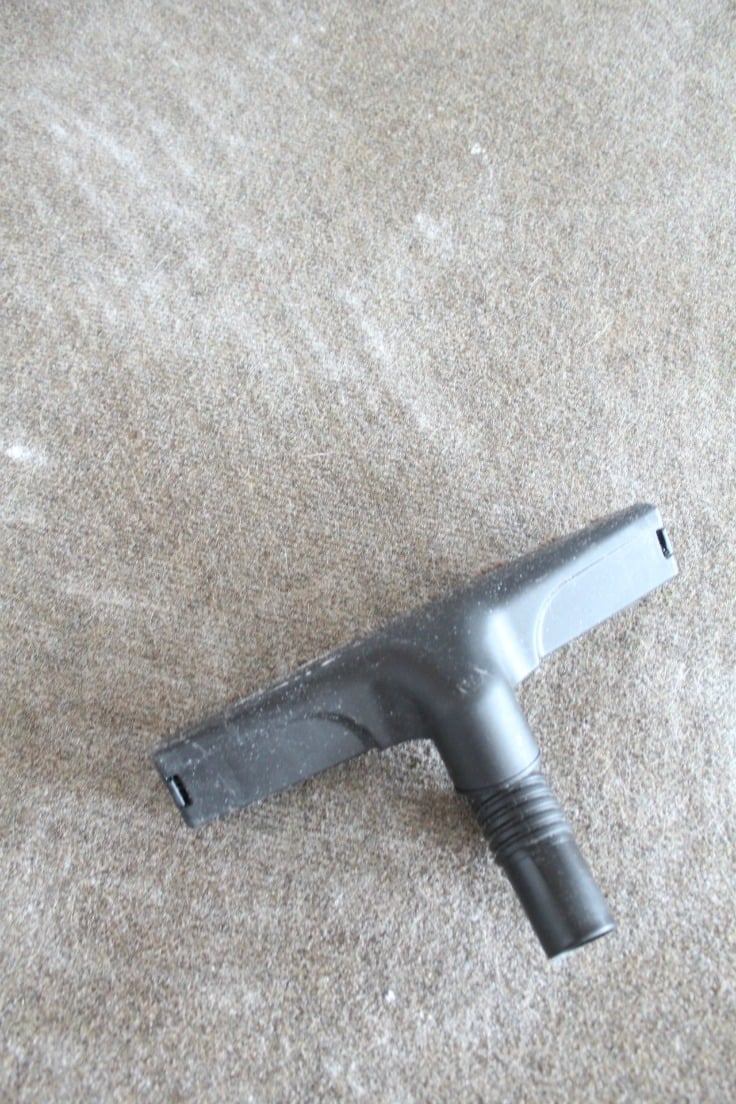 How to remove carpet odor