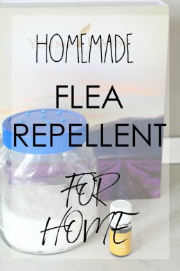 Homemade flea repellent for your home