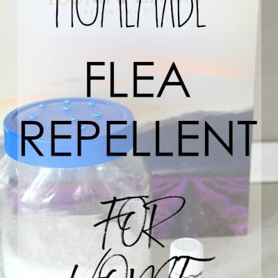The Ultimate Homemade Flea Repellent For Your Home