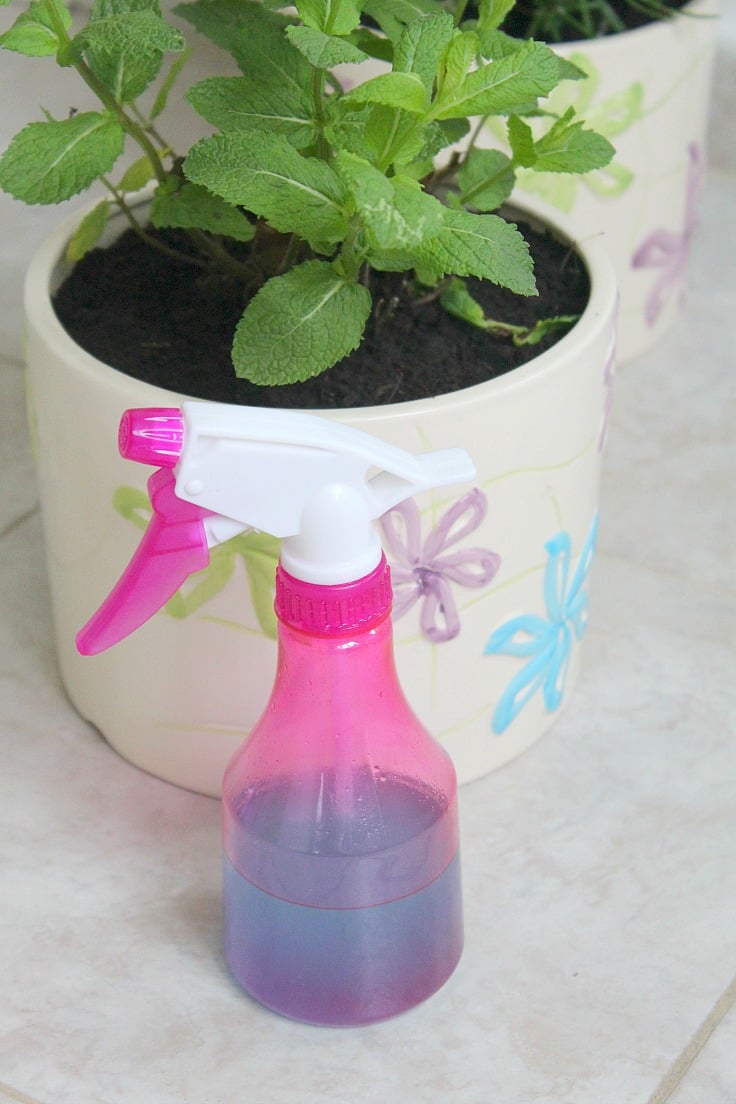 How to make your own Natural Window Cleaner