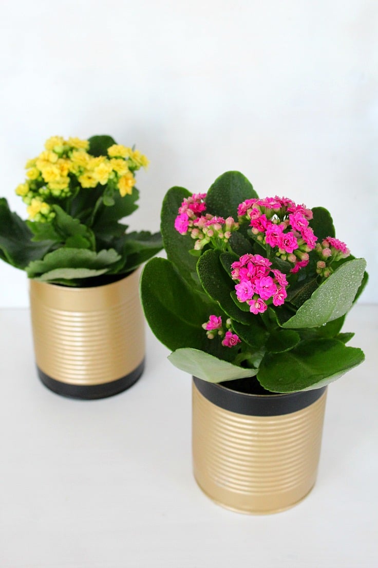 DIY recycled tin can flower pots