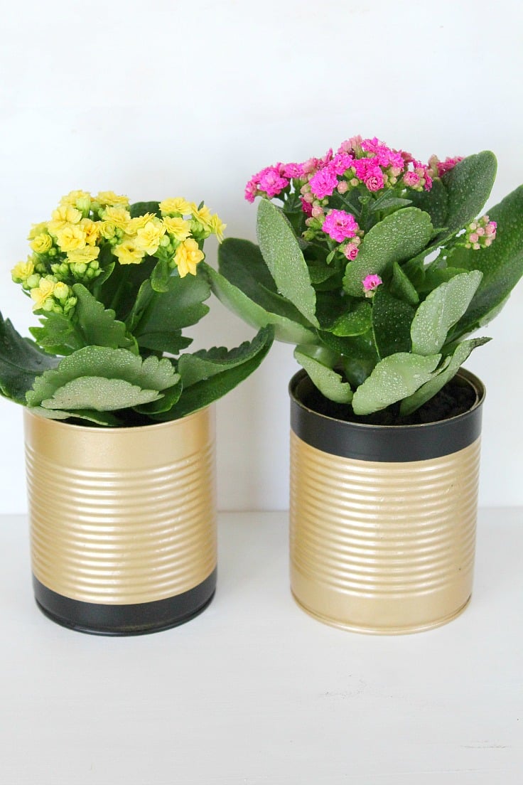 Tin Plant Pots Easy & Cute Recycled Home Decor Idea