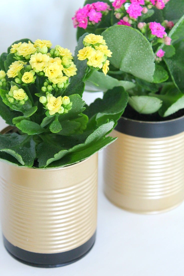 Recycled flower pots