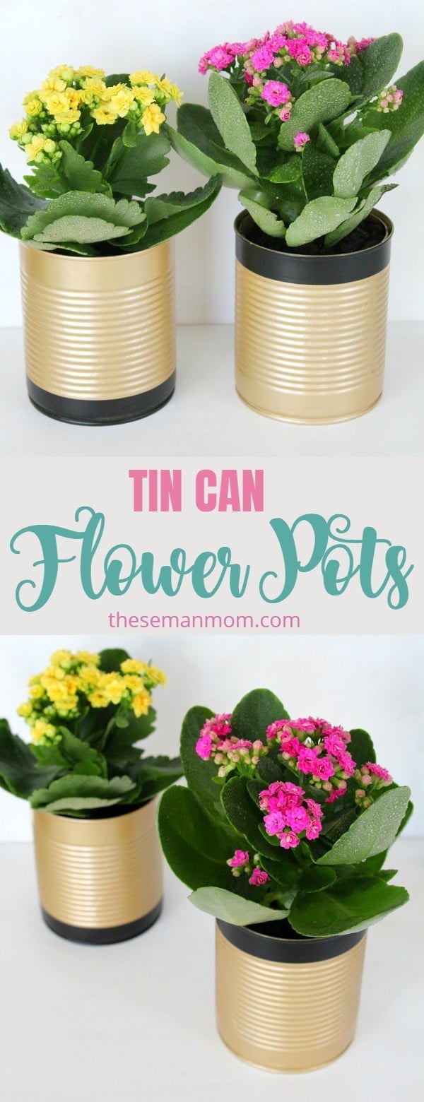 Tin plant pots