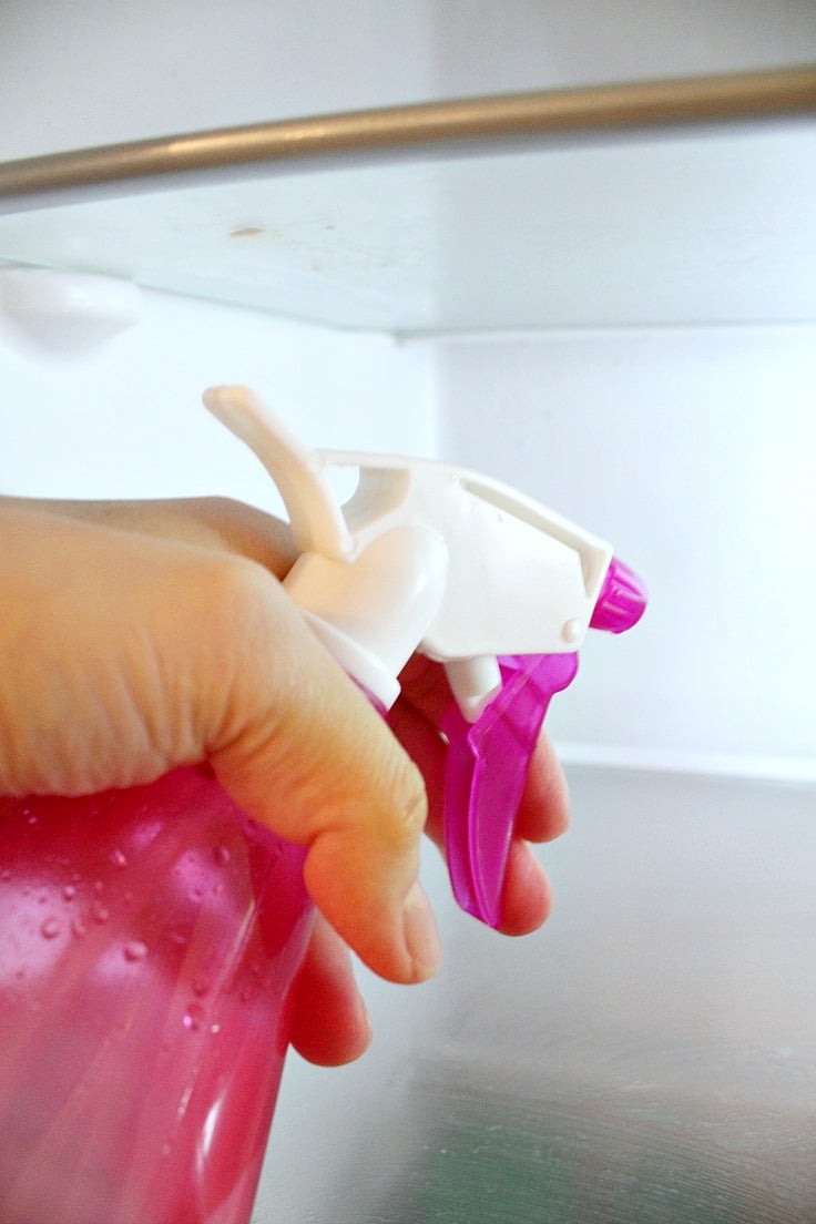 Homemade fridge odor remover spray