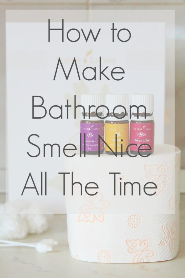 The Best Air Freshener For Bathroom Easy Peasy Creative Ideas