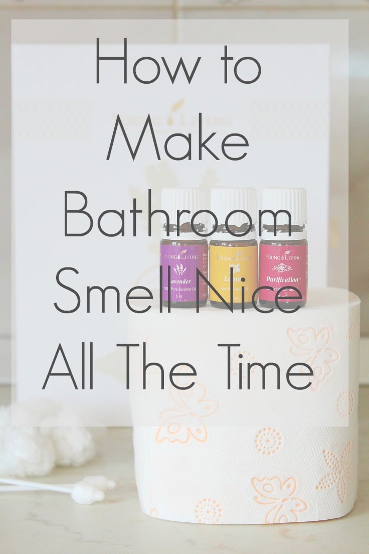 smell how make good bathroom For Smell Bathroom Freshener Air Best Like A Keep It To