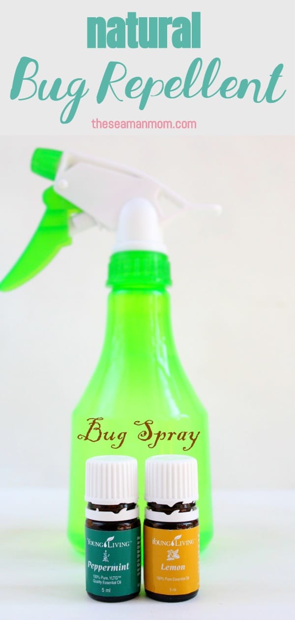 Homemade bug spray