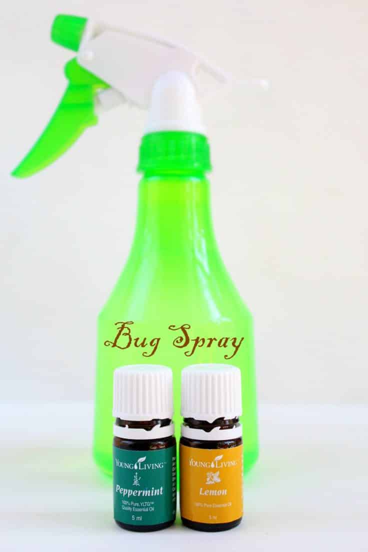 Homemade Bug Spray Recipe Made With All