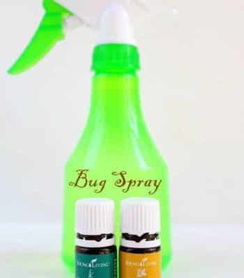 Homemade natural bug repellent