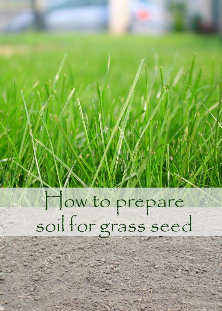 How to Prepare Soil for Grass Seed - Easy Peasy Creative Ideas