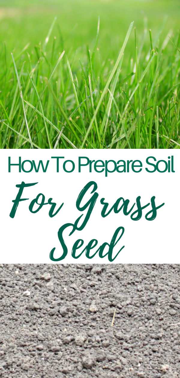 how to prepare soil for grass seed