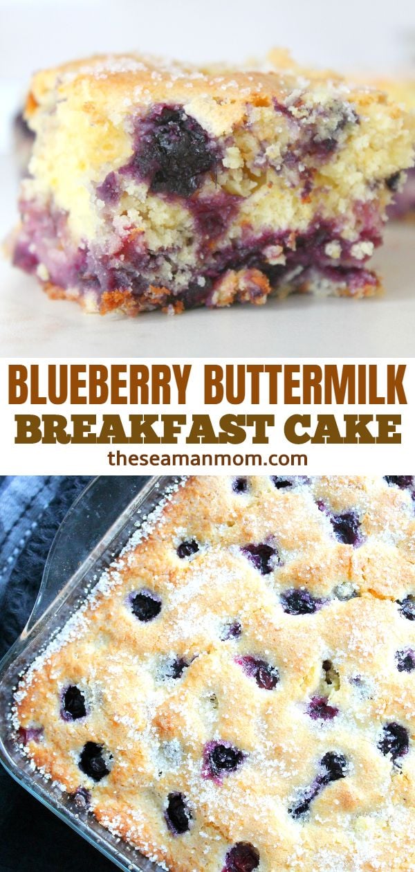 Light and fluffy blueberry breakfast cake, a lip-smaking way to start your day or a melt in your mouth snack to nibble on when the sweet cravings hit! via @petroneagu