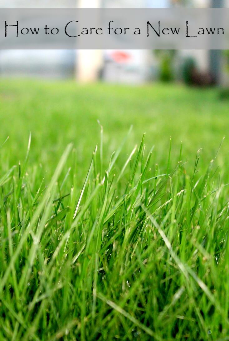 How to Care For A New Lawn