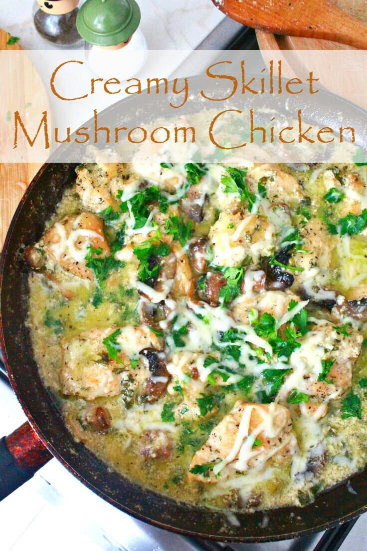 Chicken in white sauce recipe, made with mushrooms, sour cream, cheese and fresh parsley, in a skillet