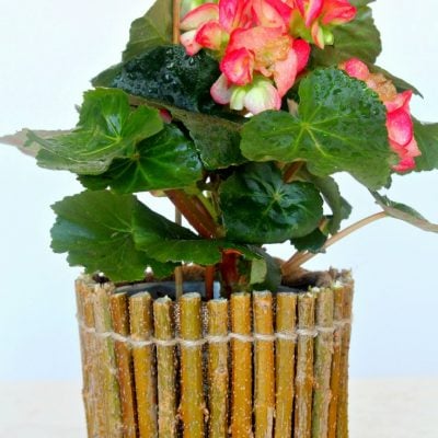 Rustic Twig Flower Pot