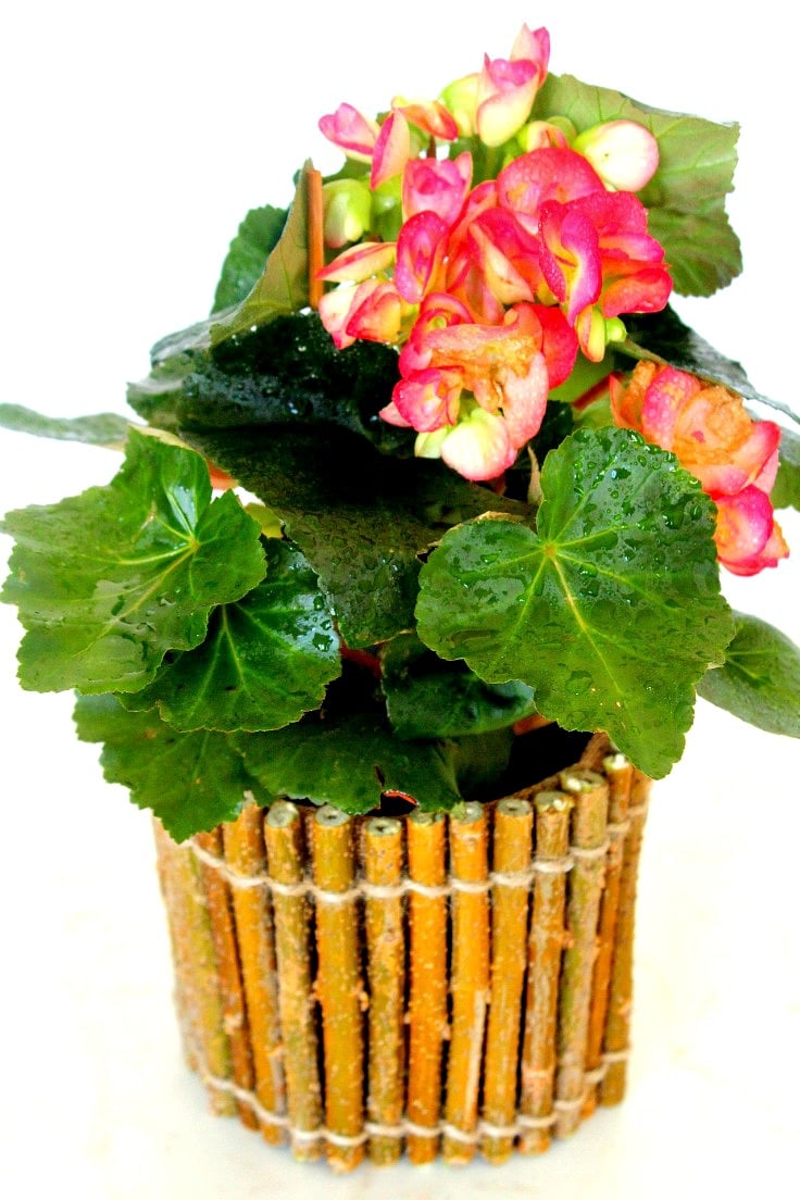 Rustic flower pot holder