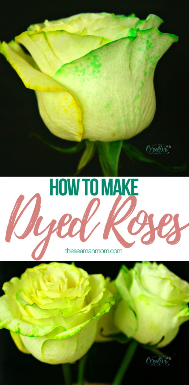 How to make dyed roses