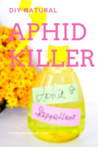 Easy Homemade Aphid Spray That Works! - Easy Peasy Creative Ideas