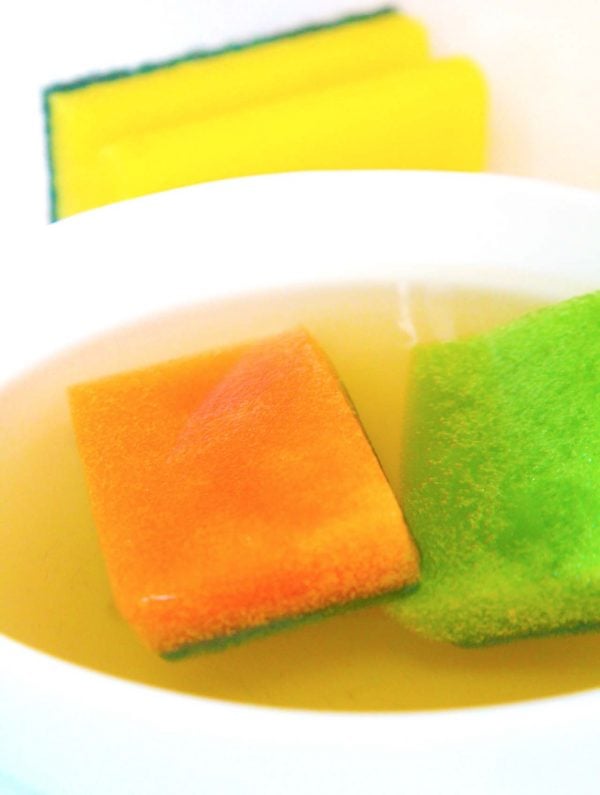 So Clean Sponge How To Clean A Sponge
