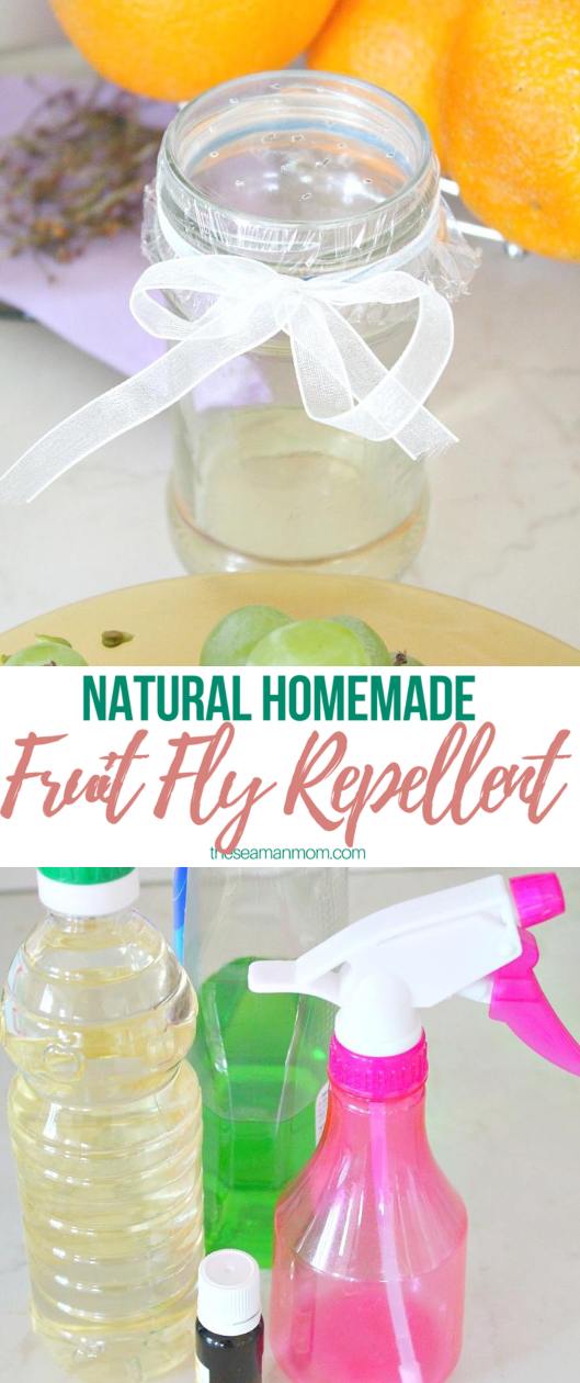 Fruit fly repellent