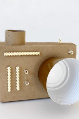 cardboard camera craft