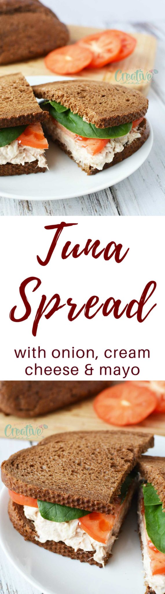 Tuna Spread Recipe With Onion, Mayo & Cream Cheese