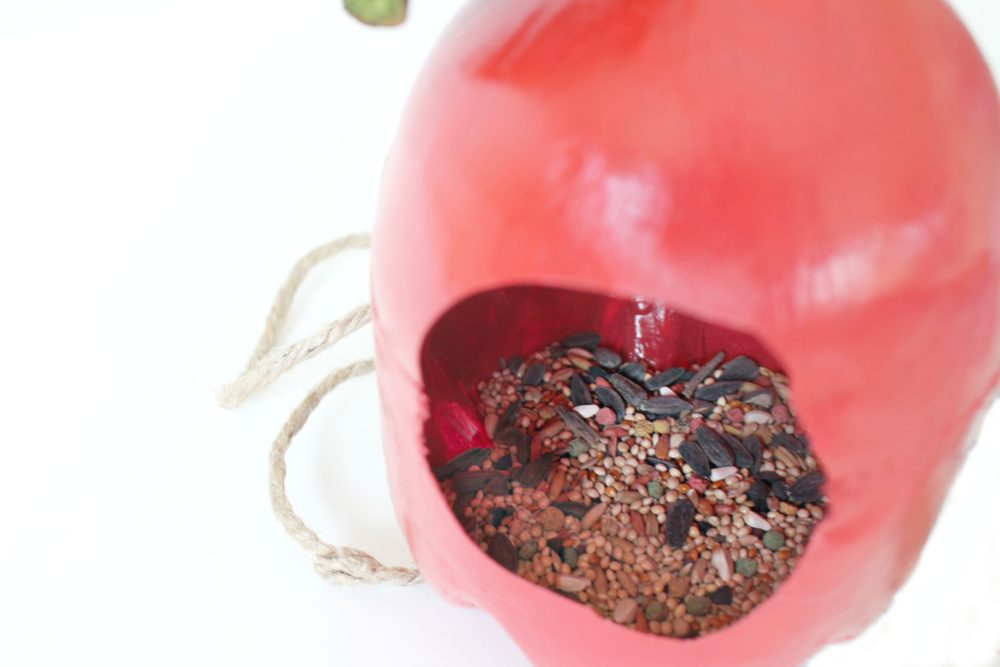 Pop bottle bird feeder