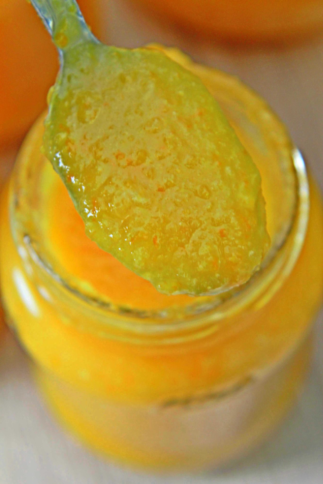 Bitter Sweet Orange Lemon Marmalade