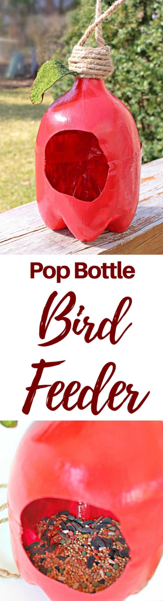Plastic bottle bird feeder