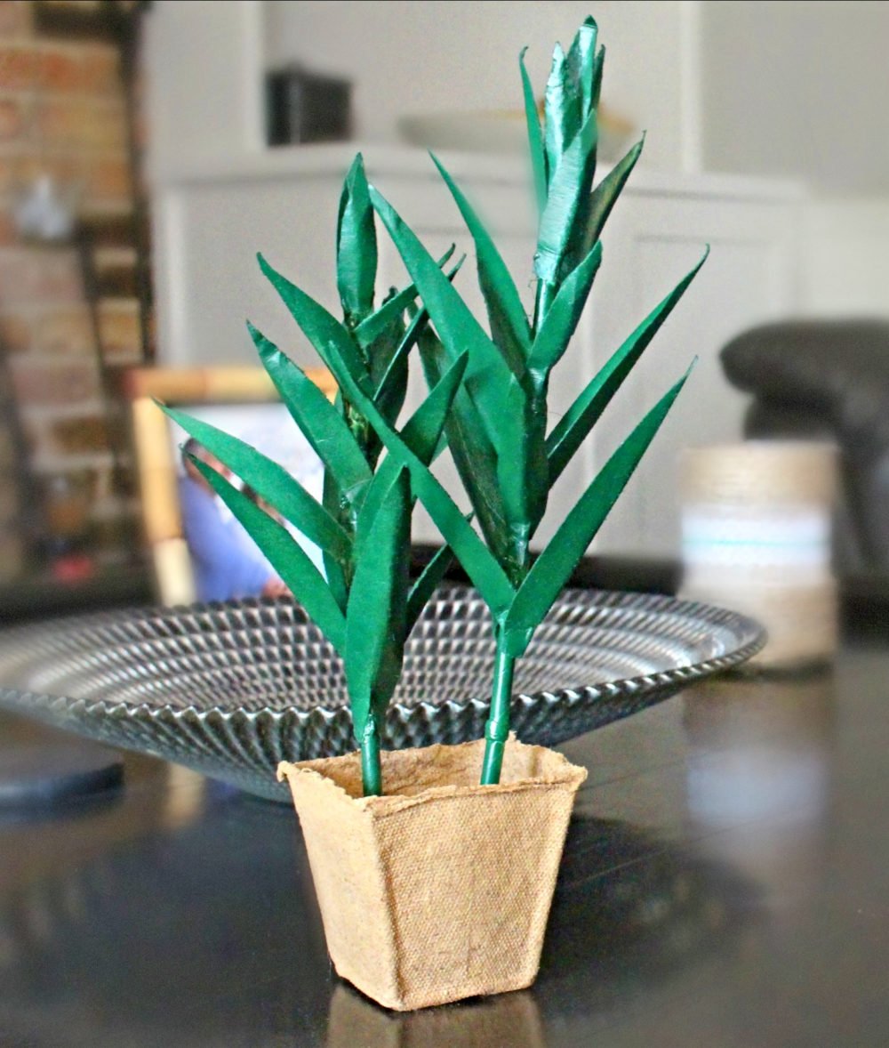 diy paper plants